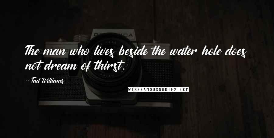 Tad Williams Quotes: The man who lives beside the water hole does not dream of thirst.