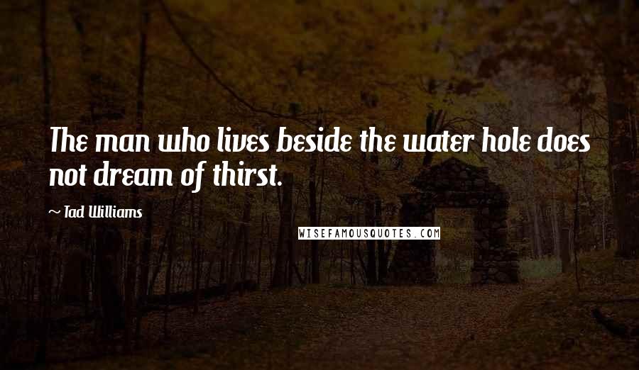 Tad Williams Quotes: The man who lives beside the water hole does not dream of thirst.