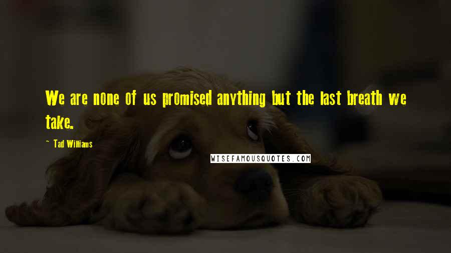 Tad Williams Quotes: We are none of us promised anything but the last breath we take.