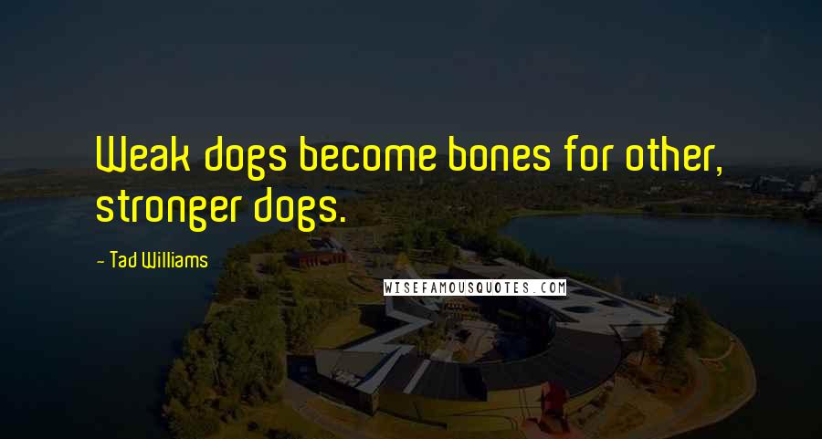 Tad Williams Quotes: Weak dogs become bones for other, stronger dogs.