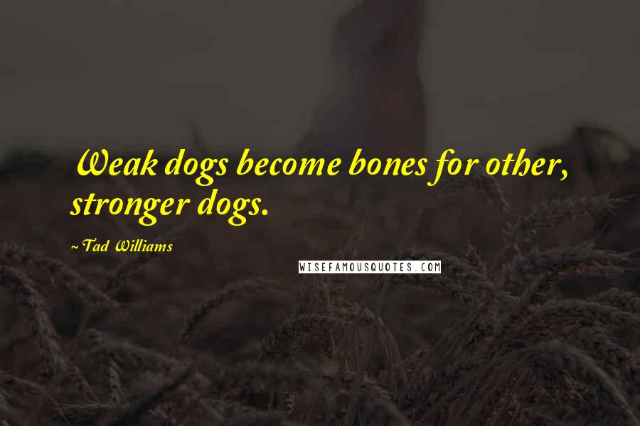 Tad Williams Quotes: Weak dogs become bones for other, stronger dogs.