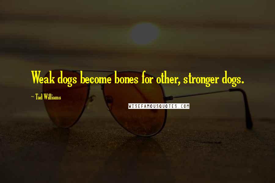 Tad Williams Quotes: Weak dogs become bones for other, stronger dogs.