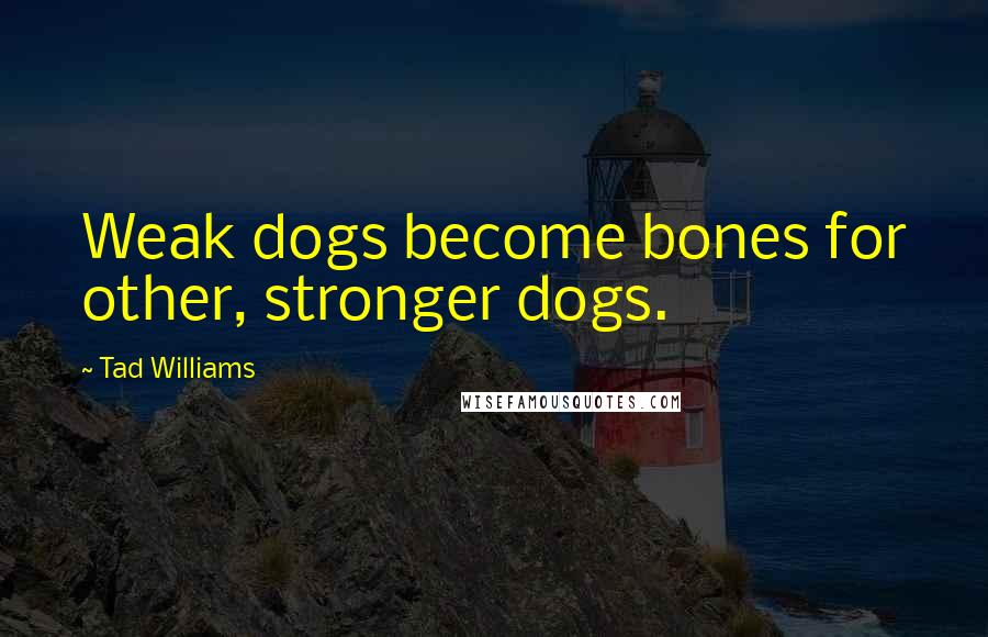 Tad Williams Quotes: Weak dogs become bones for other, stronger dogs.