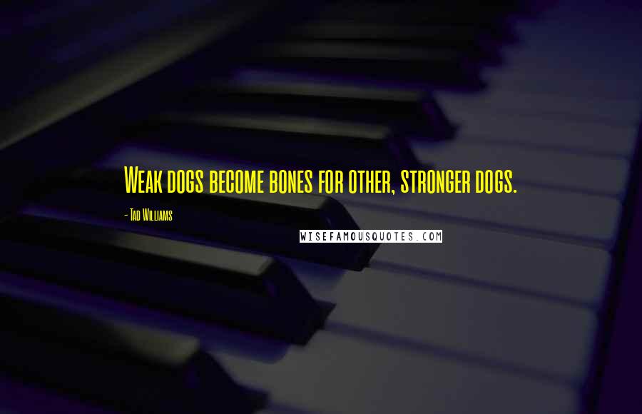 Tad Williams Quotes: Weak dogs become bones for other, stronger dogs.