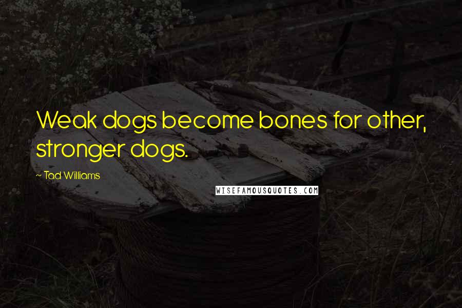 Tad Williams Quotes: Weak dogs become bones for other, stronger dogs.