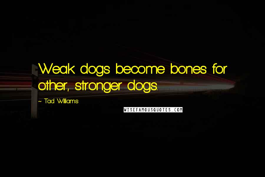 Tad Williams Quotes: Weak dogs become bones for other, stronger dogs.