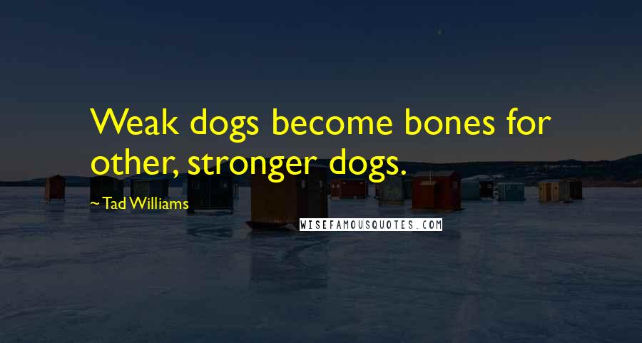 Tad Williams Quotes: Weak dogs become bones for other, stronger dogs.