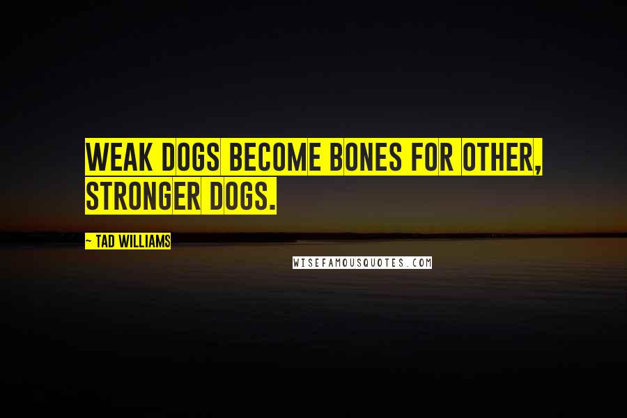 Tad Williams Quotes: Weak dogs become bones for other, stronger dogs.