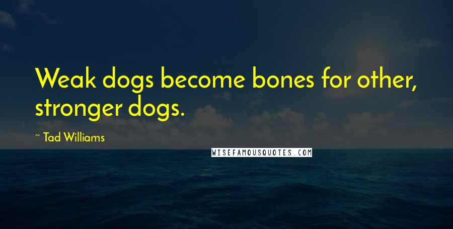Tad Williams Quotes: Weak dogs become bones for other, stronger dogs.