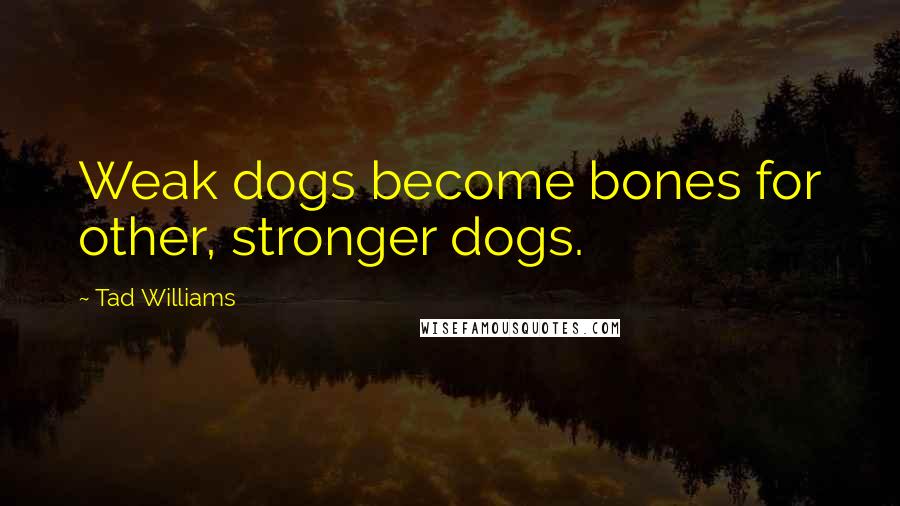 Tad Williams Quotes: Weak dogs become bones for other, stronger dogs.