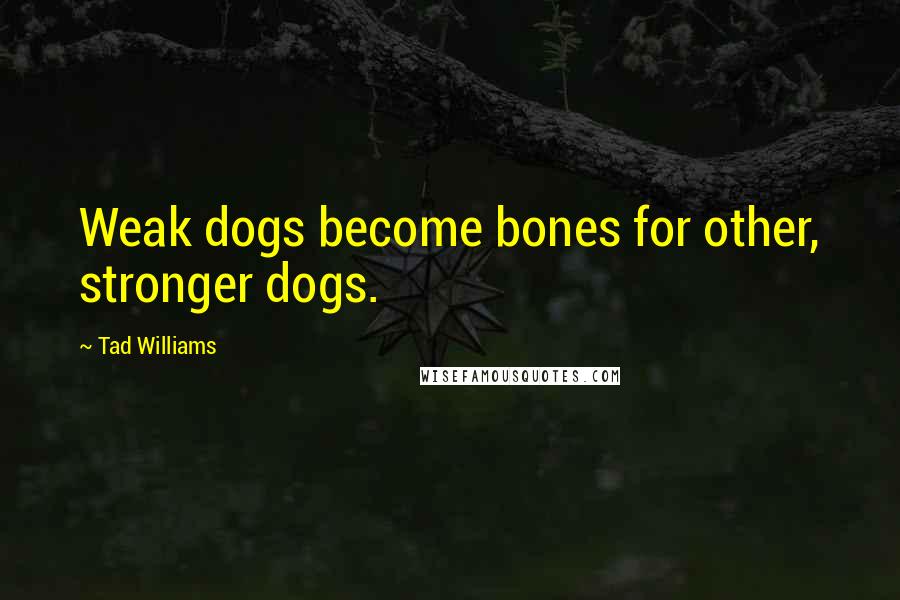 Tad Williams Quotes: Weak dogs become bones for other, stronger dogs.