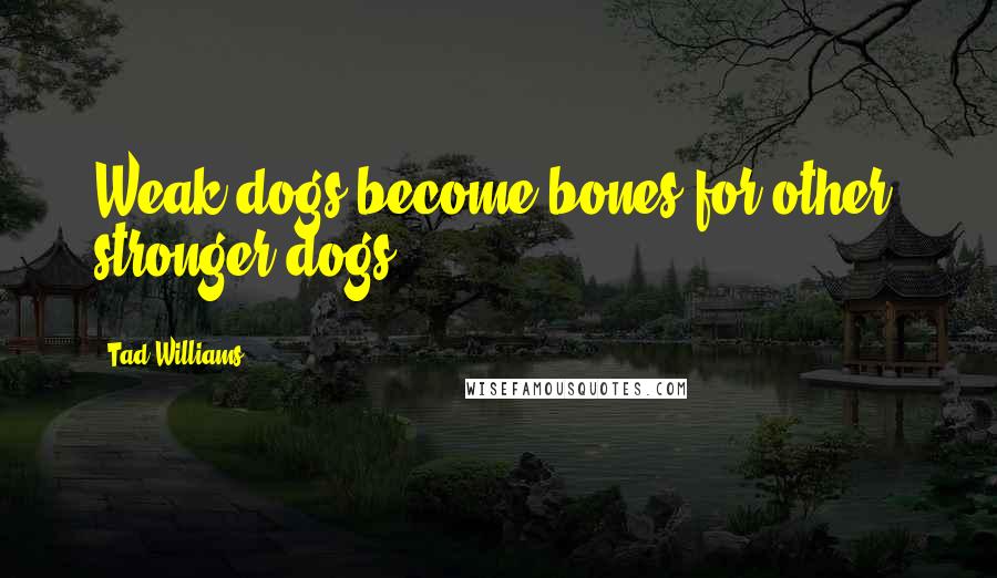 Tad Williams Quotes: Weak dogs become bones for other, stronger dogs.