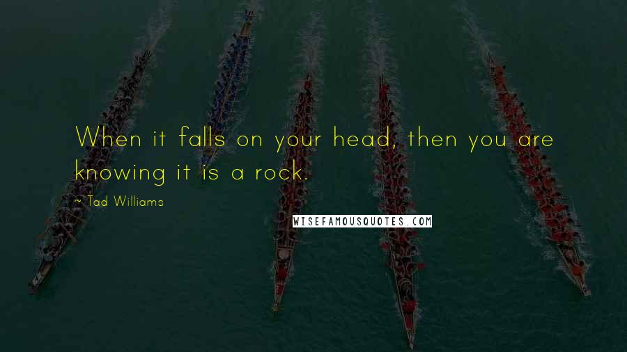 Tad Williams Quotes: When it falls on your head, then you are knowing it is a rock.