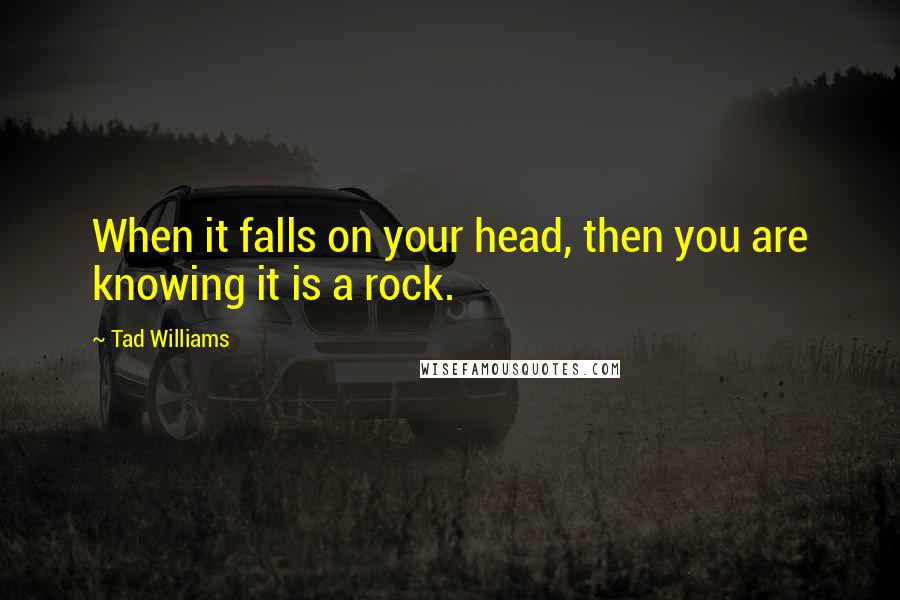 Tad Williams Quotes: When it falls on your head, then you are knowing it is a rock.