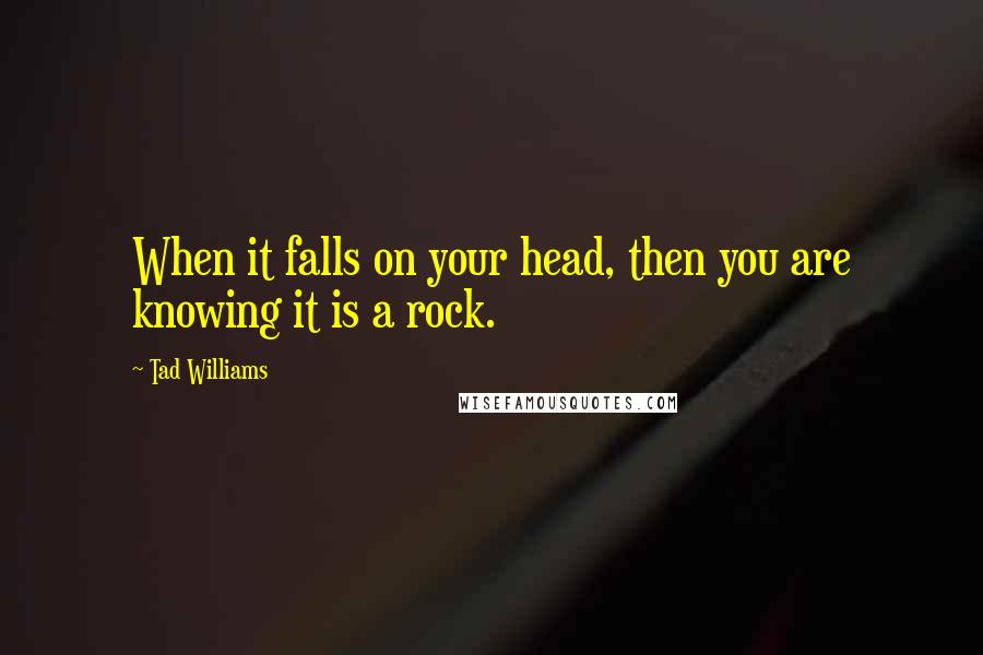 Tad Williams Quotes: When it falls on your head, then you are knowing it is a rock.