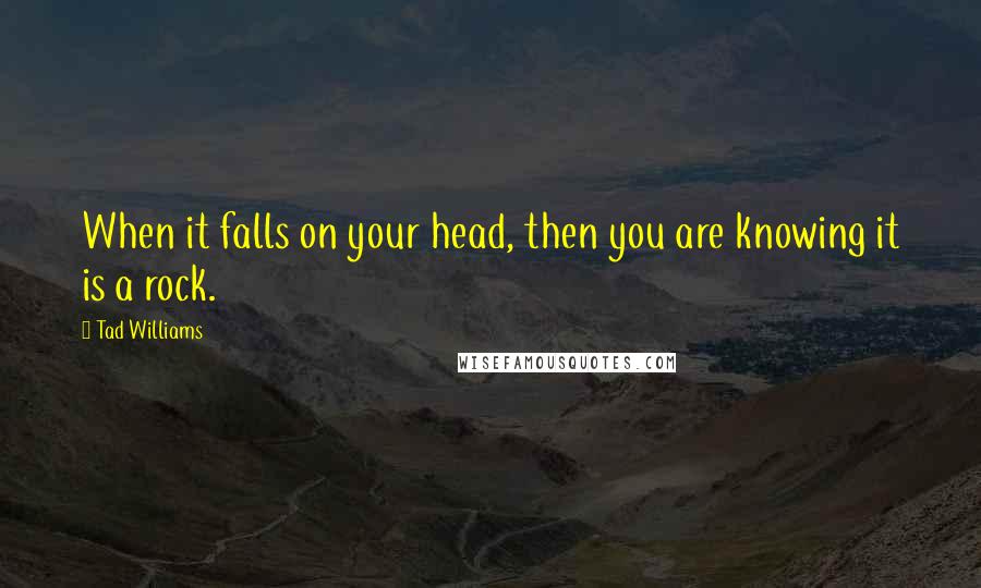 Tad Williams Quotes: When it falls on your head, then you are knowing it is a rock.