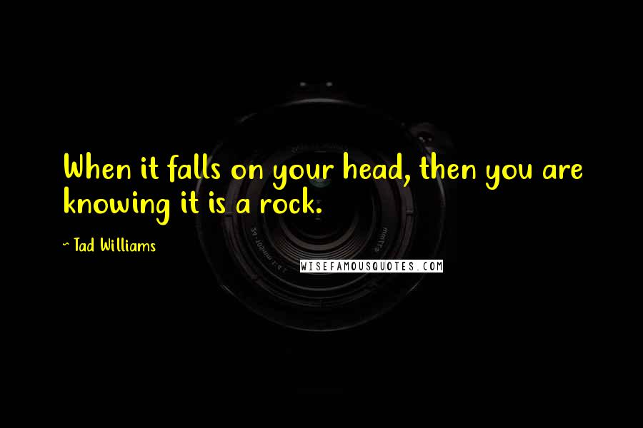 Tad Williams Quotes: When it falls on your head, then you are knowing it is a rock.