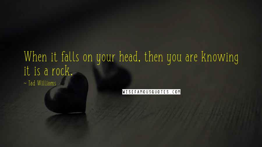 Tad Williams Quotes: When it falls on your head, then you are knowing it is a rock.