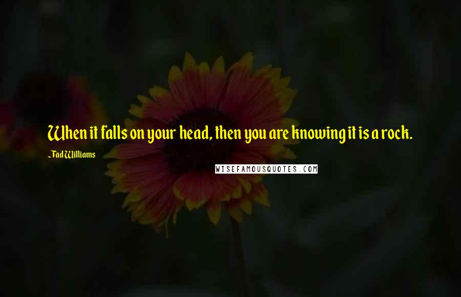 Tad Williams Quotes: When it falls on your head, then you are knowing it is a rock.