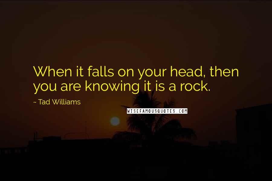 Tad Williams Quotes: When it falls on your head, then you are knowing it is a rock.