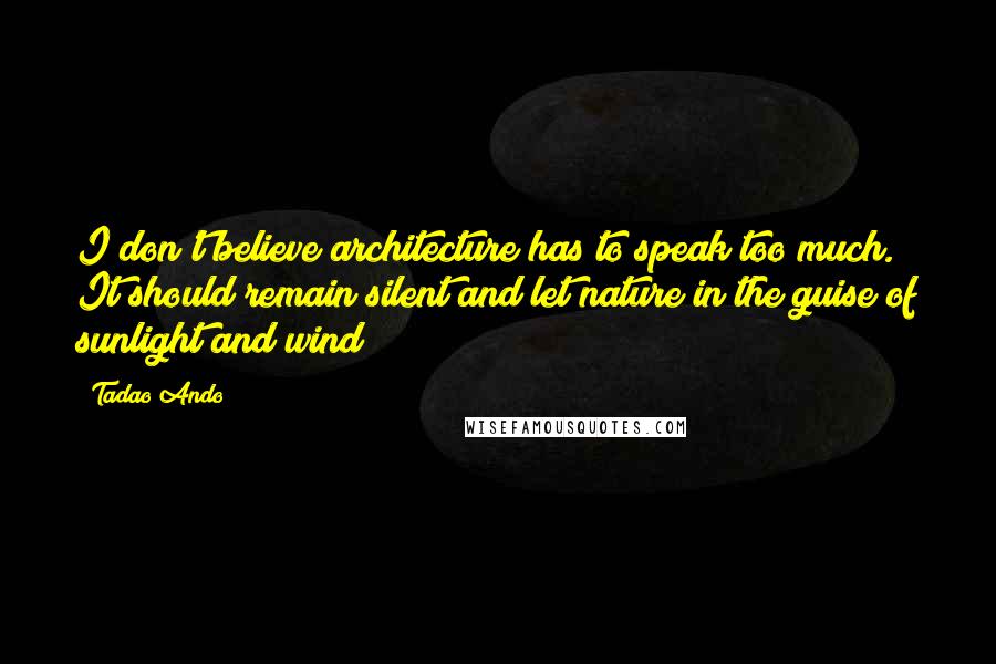 Tadao Ando Quotes: I don't believe architecture has to speak too much. It should remain silent and let nature in the guise of sunlight and wind