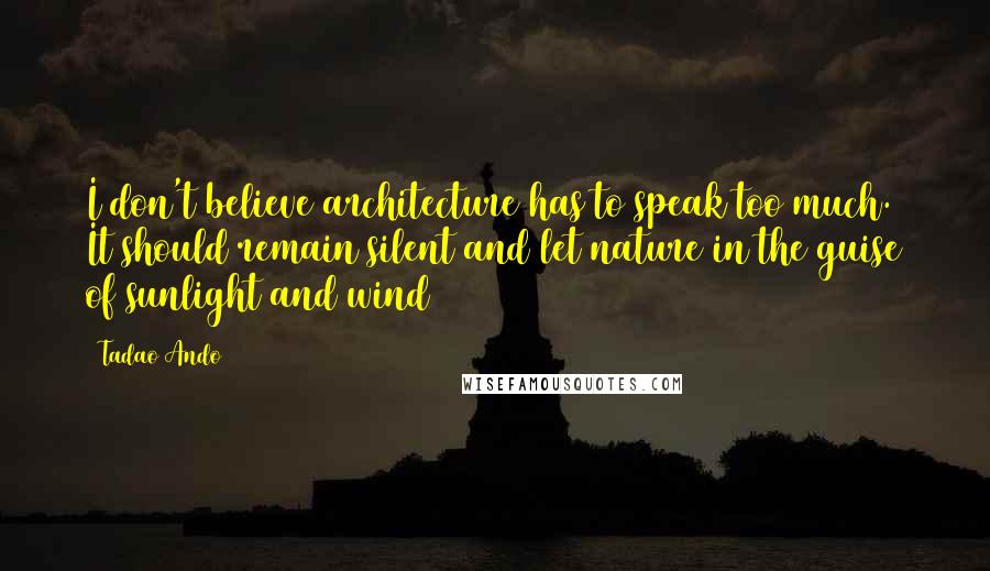 Tadao Ando Quotes: I don't believe architecture has to speak too much. It should remain silent and let nature in the guise of sunlight and wind