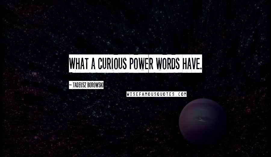 Tadeusz Borowski Quotes: What a curious power words have.