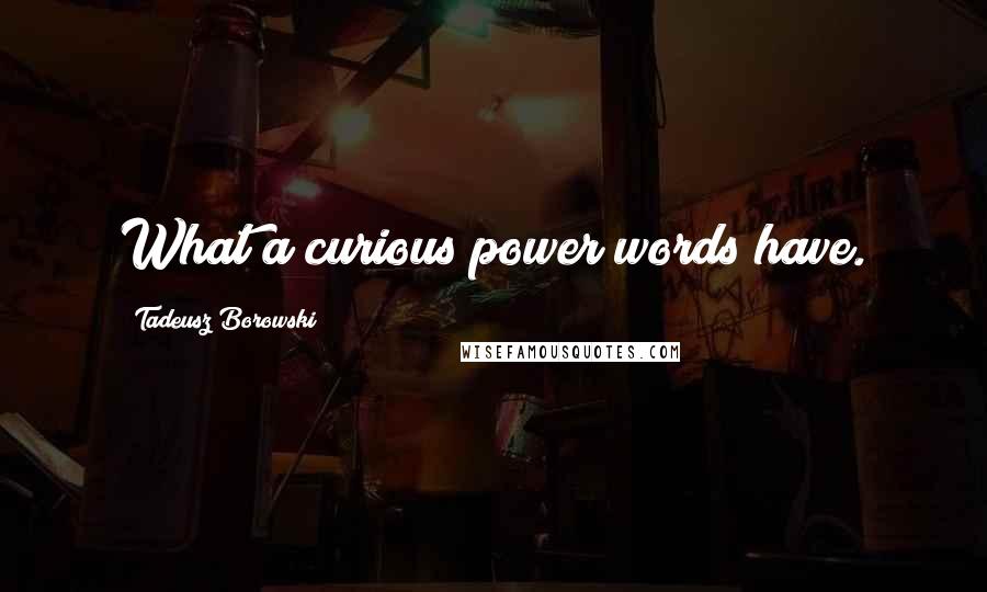 Tadeusz Borowski Quotes: What a curious power words have.