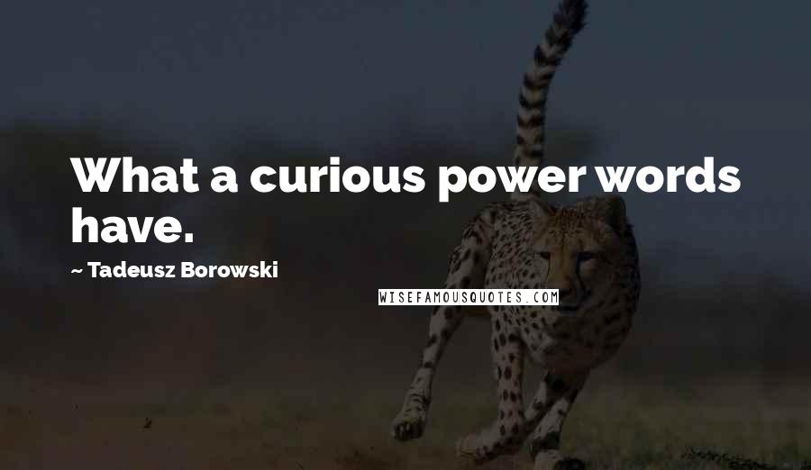 Tadeusz Borowski Quotes: What a curious power words have.