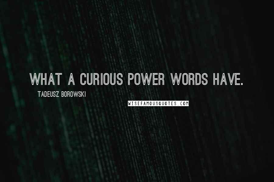 Tadeusz Borowski Quotes: What a curious power words have.