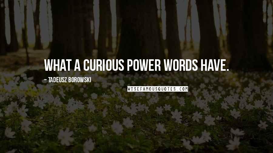 Tadeusz Borowski Quotes: What a curious power words have.