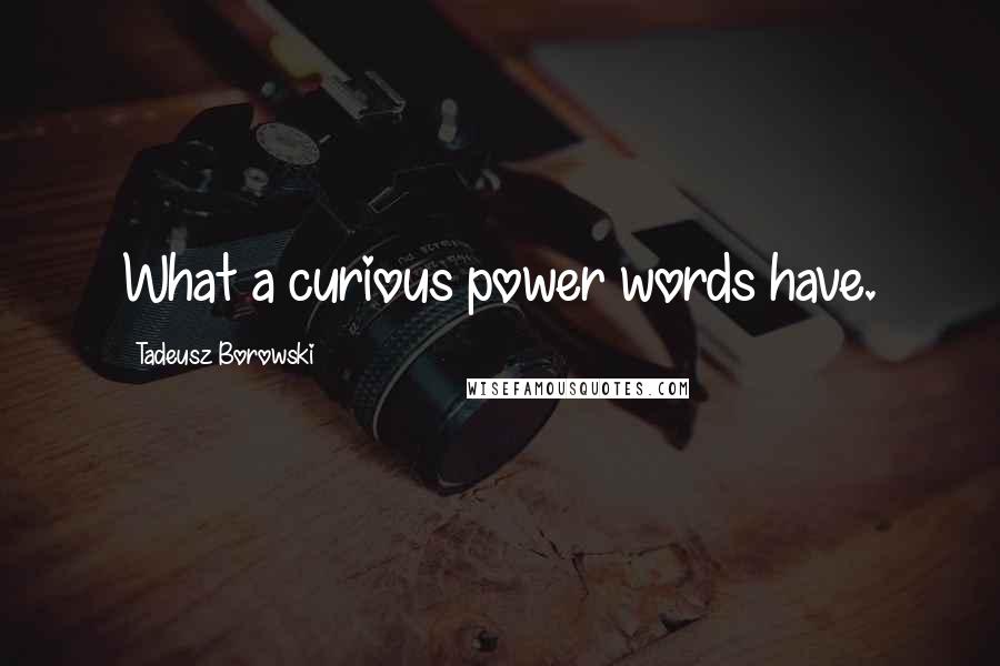 Tadeusz Borowski Quotes: What a curious power words have.