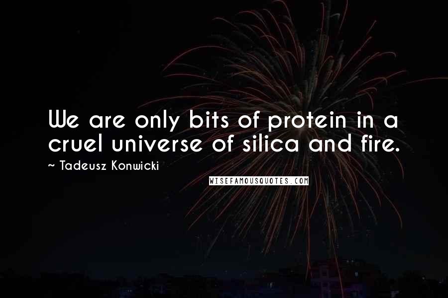 Tadeusz Konwicki Quotes: We are only bits of protein in a cruel universe of silica and fire.