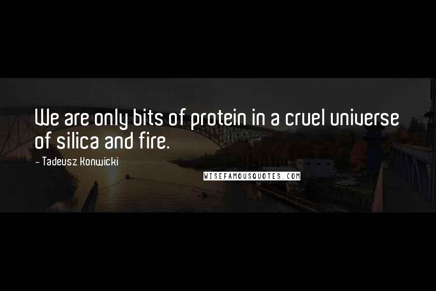 Tadeusz Konwicki Quotes: We are only bits of protein in a cruel universe of silica and fire.