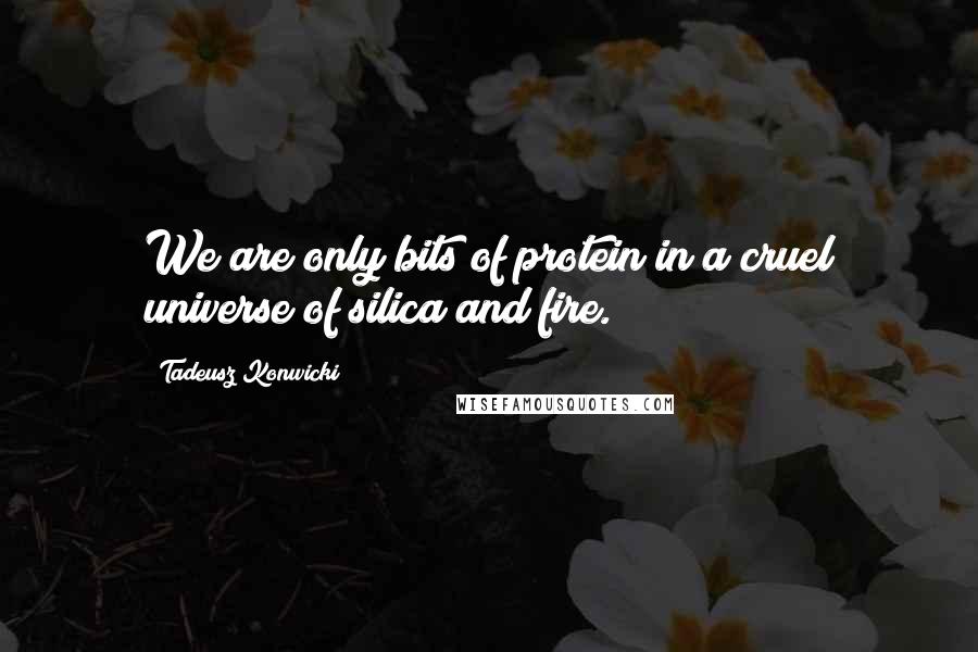Tadeusz Konwicki Quotes: We are only bits of protein in a cruel universe of silica and fire.