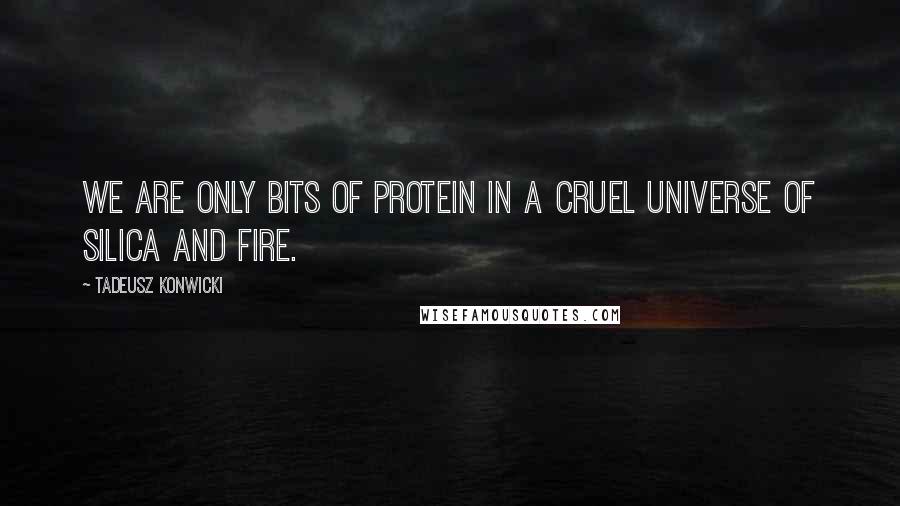 Tadeusz Konwicki Quotes: We are only bits of protein in a cruel universe of silica and fire.