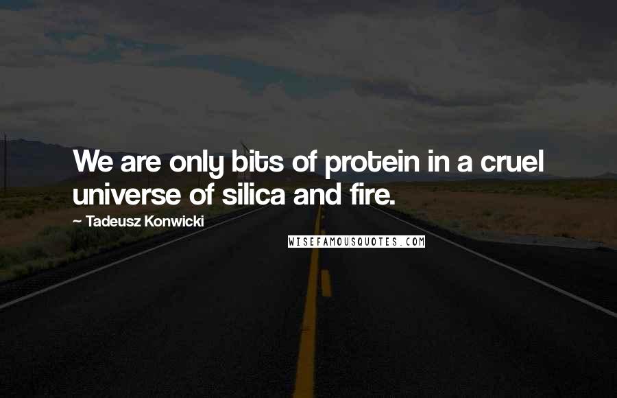 Tadeusz Konwicki Quotes: We are only bits of protein in a cruel universe of silica and fire.