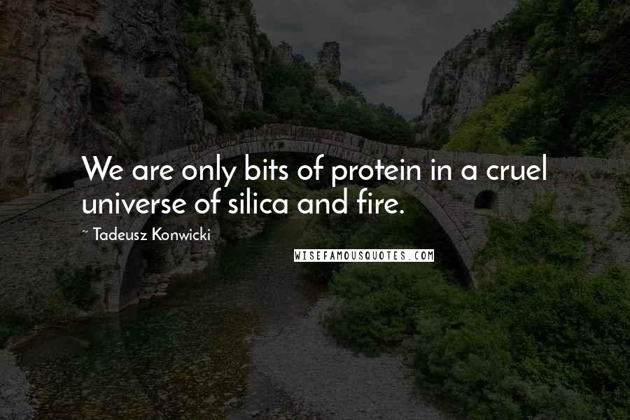 Tadeusz Konwicki Quotes: We are only bits of protein in a cruel universe of silica and fire.