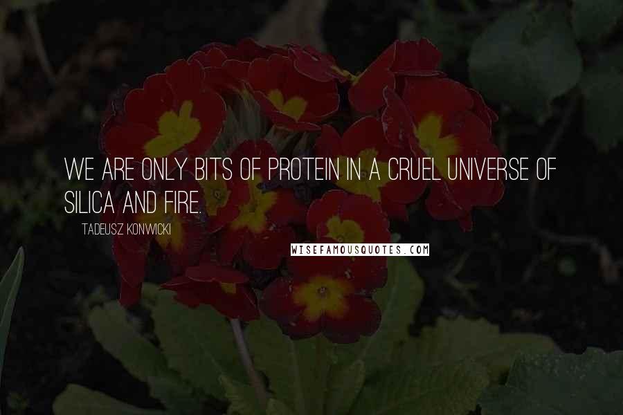 Tadeusz Konwicki Quotes: We are only bits of protein in a cruel universe of silica and fire.