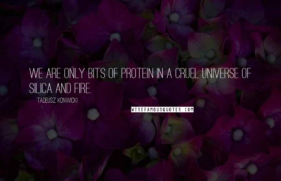 Tadeusz Konwicki Quotes: We are only bits of protein in a cruel universe of silica and fire.