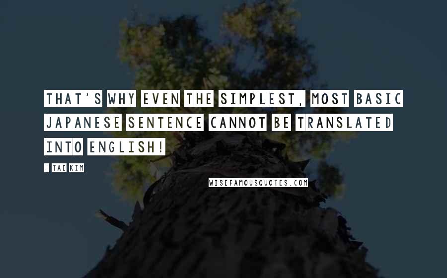 Tae Kim Quotes: That's why even the simplest, most basic Japanese sentence cannot be translated into English!
