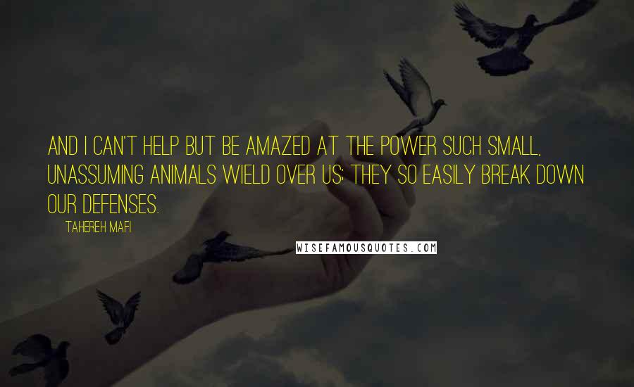 Tahereh Mafi Quotes: And I can't help but be amazed at the power such small, unassuming animals wield over us; they so easily break down our defenses.