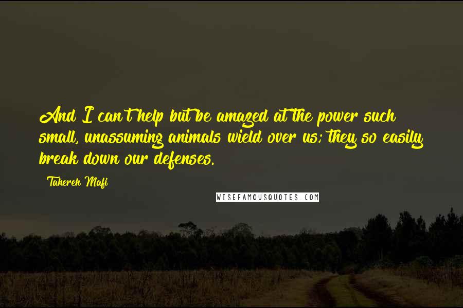 Tahereh Mafi Quotes: And I can't help but be amazed at the power such small, unassuming animals wield over us; they so easily break down our defenses.