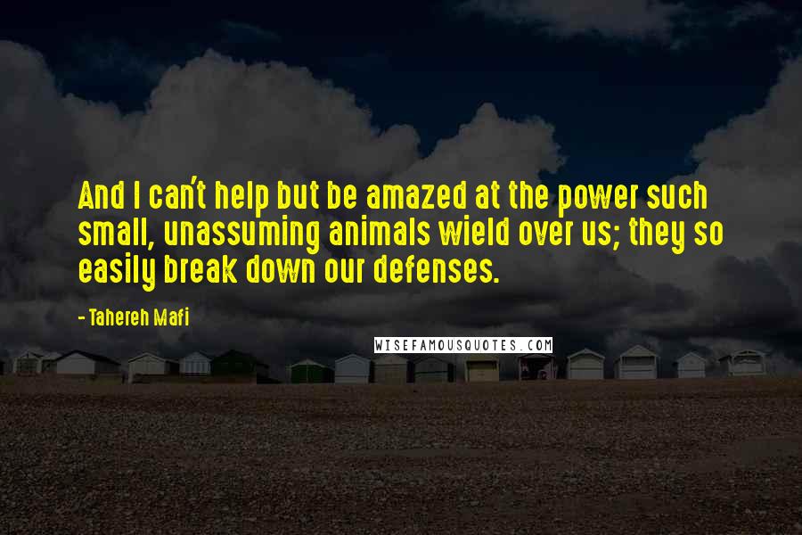 Tahereh Mafi Quotes: And I can't help but be amazed at the power such small, unassuming animals wield over us; they so easily break down our defenses.