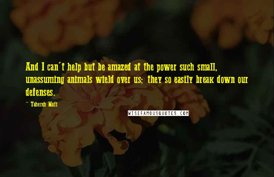 Tahereh Mafi Quotes: And I can't help but be amazed at the power such small, unassuming animals wield over us; they so easily break down our defenses.