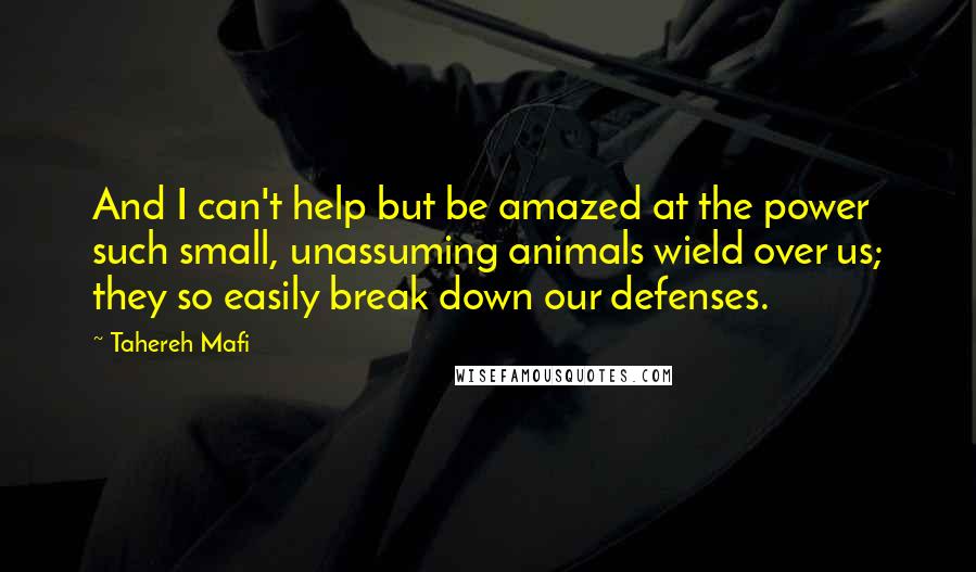 Tahereh Mafi Quotes: And I can't help but be amazed at the power such small, unassuming animals wield over us; they so easily break down our defenses.