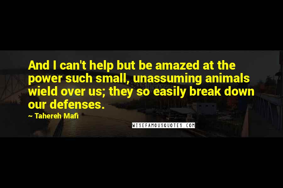 Tahereh Mafi Quotes: And I can't help but be amazed at the power such small, unassuming animals wield over us; they so easily break down our defenses.