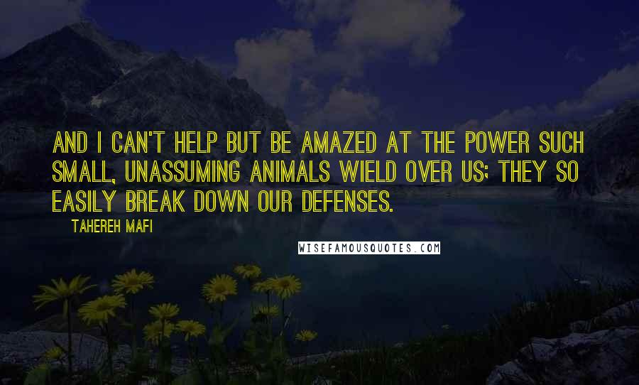 Tahereh Mafi Quotes: And I can't help but be amazed at the power such small, unassuming animals wield over us; they so easily break down our defenses.