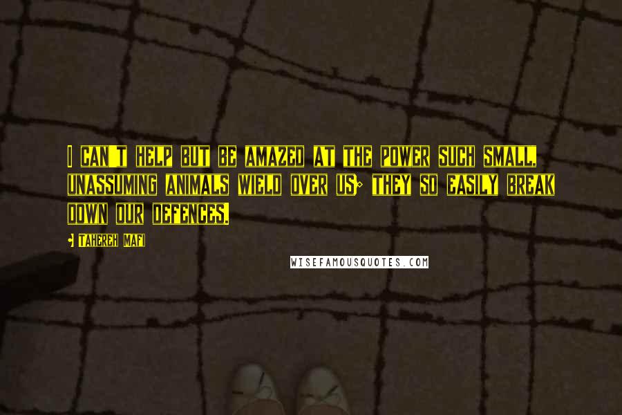 Tahereh Mafi Quotes: I can't help but be amazed at the power such small, unassuming animals wield over us; they so easily break down our defences.