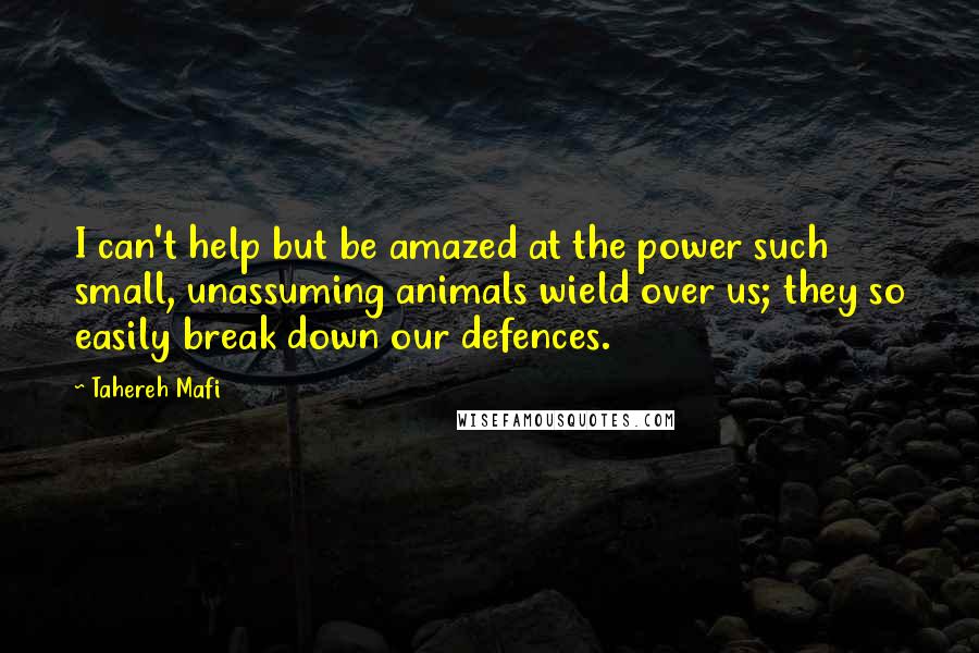 Tahereh Mafi Quotes: I can't help but be amazed at the power such small, unassuming animals wield over us; they so easily break down our defences.